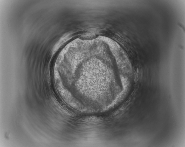 X0000102390198200808221833