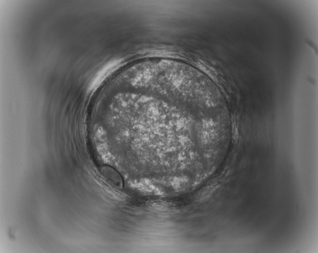 X0000102390199200808221833