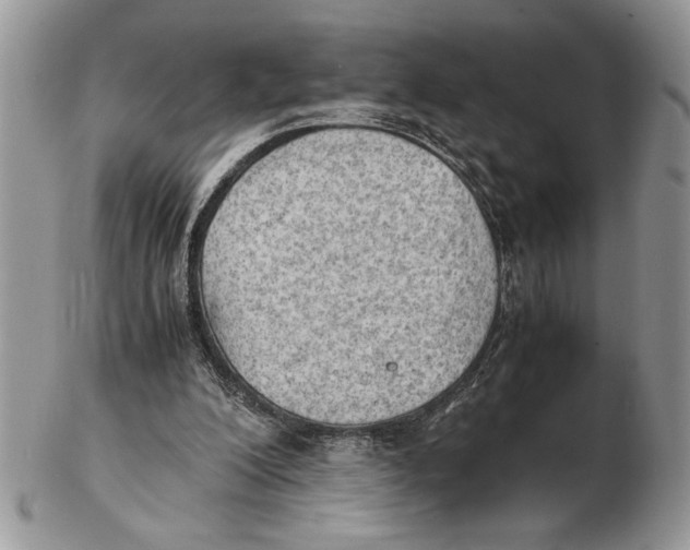 X0000102390200200808221833