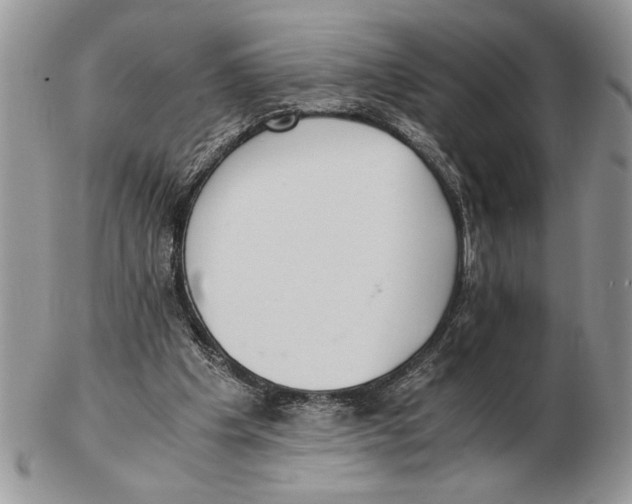X0000102390201200808221833