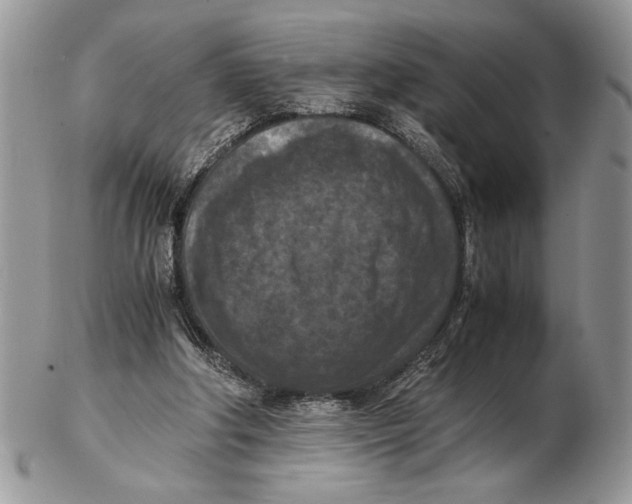 X0000102390202200808221833