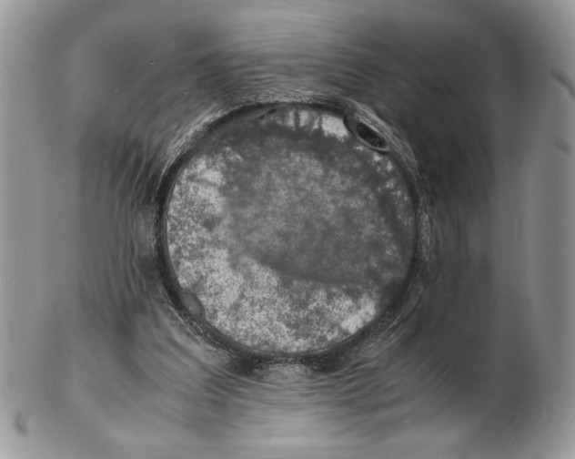 X0000102390203200808221833