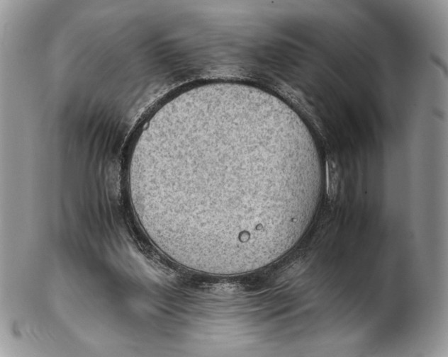 X0000102390204200808221833