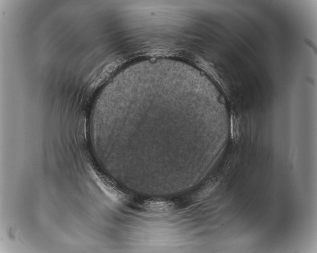 X0000102390205200808221833