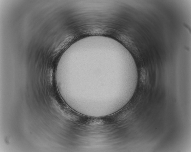 X0000102390206200808221833