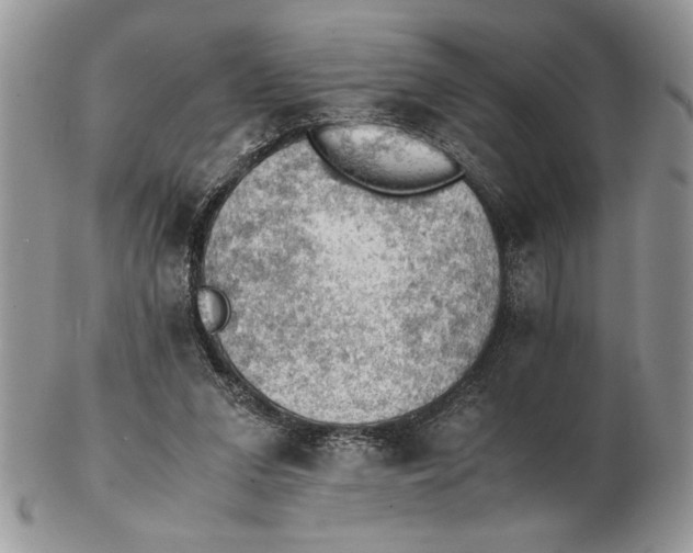 X0000102390207200808221833