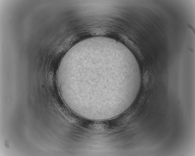 X0000102390209200808221833