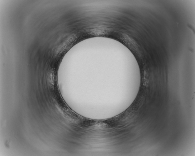 X0000102390210200808221833
