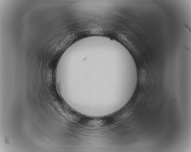 X0000102390213200808221832