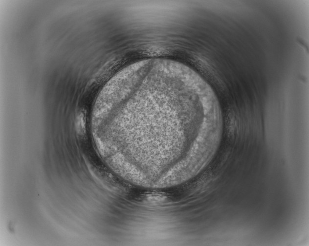 X0000102390214200808221832