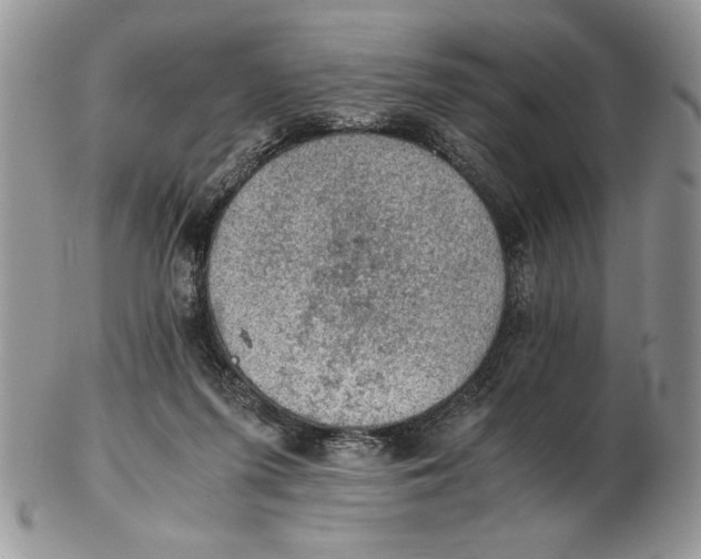 X0000102390215200808221832