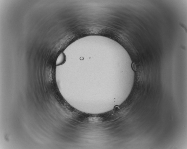 X0000102390216200808221832