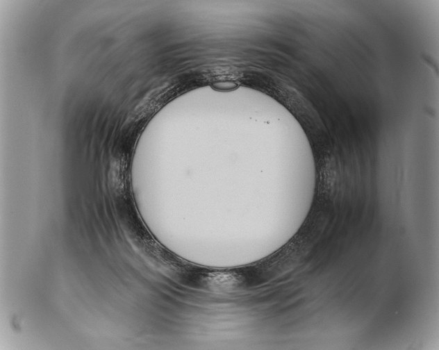 X0000102390218200808221832