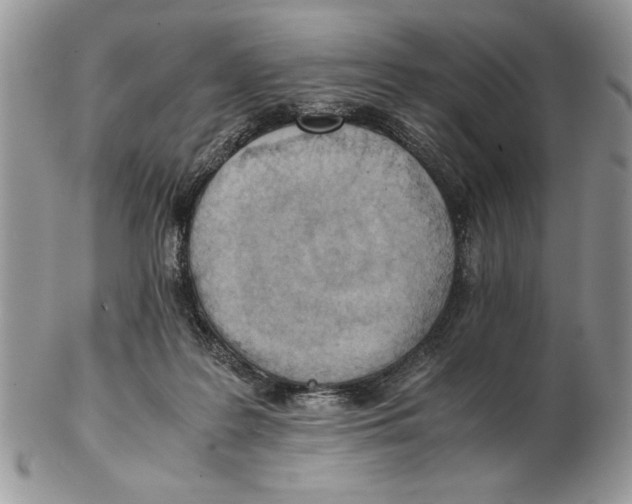X0000102390219200808221832
