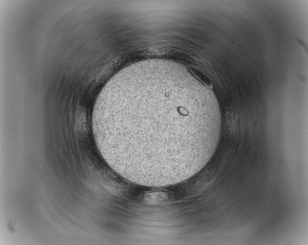 X0000102390220200808221832