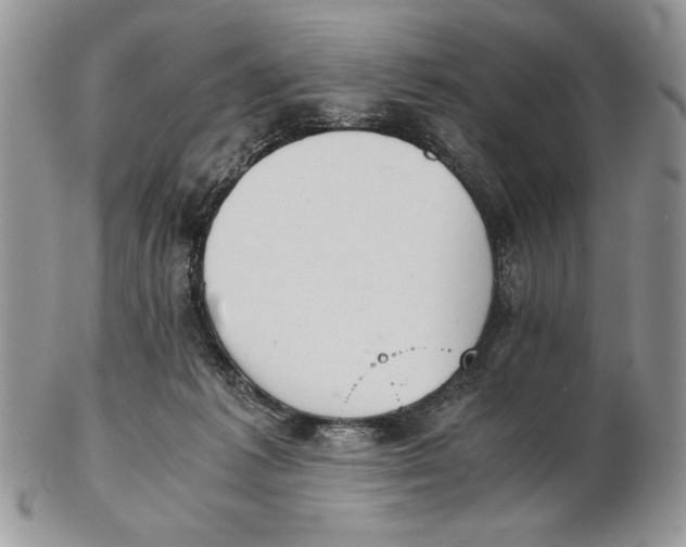 X0000102390221200808221832
