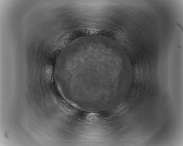 X0000102390222200808221832