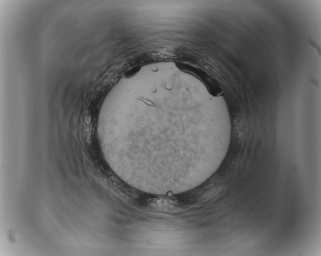 X0000102390223200808221832