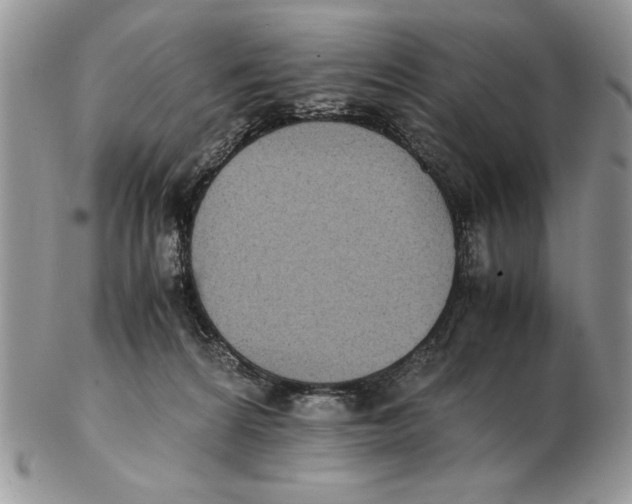 X0000102390224200808221832