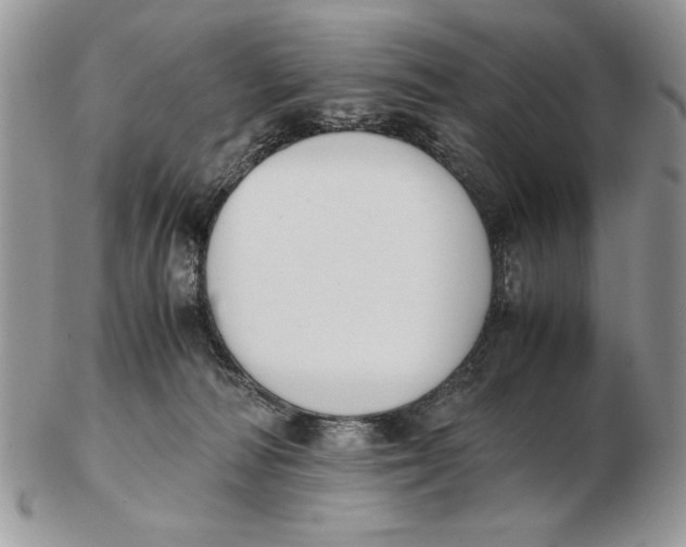 X0000102390226200808221832