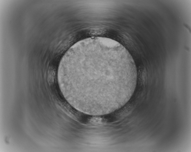 X0000102390227200808221832