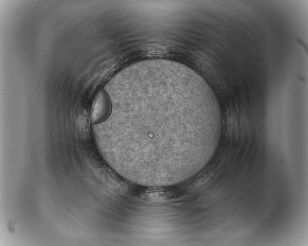 X0000102390228200808221832