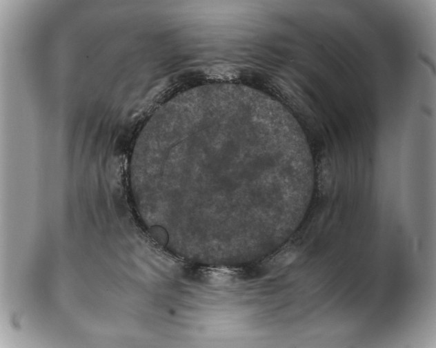 X0000102390229200808221832