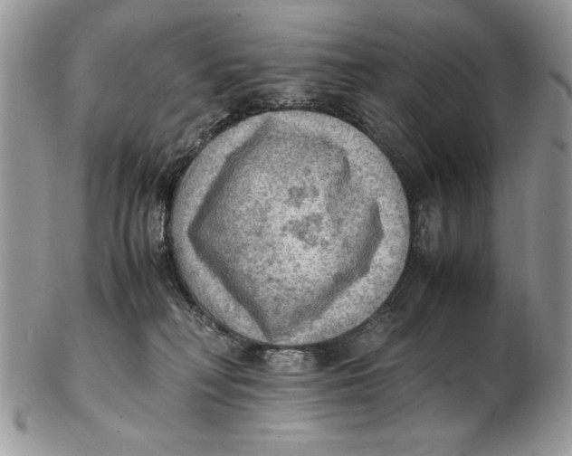 X0000102390230200808221832