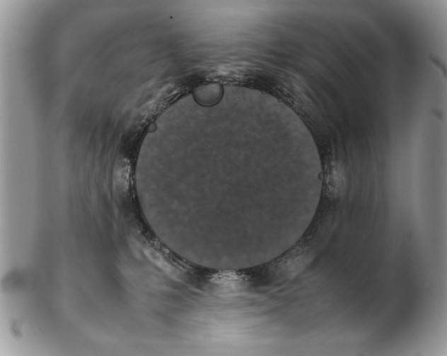 X0000102390231200808221832