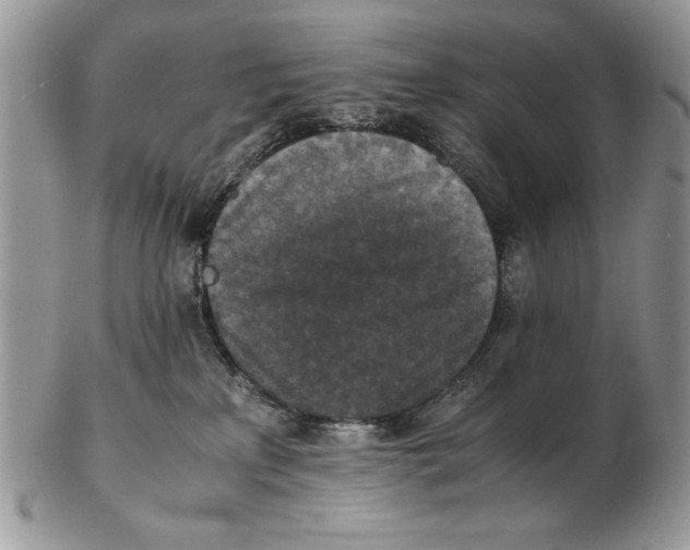 X0000102390233200808221832