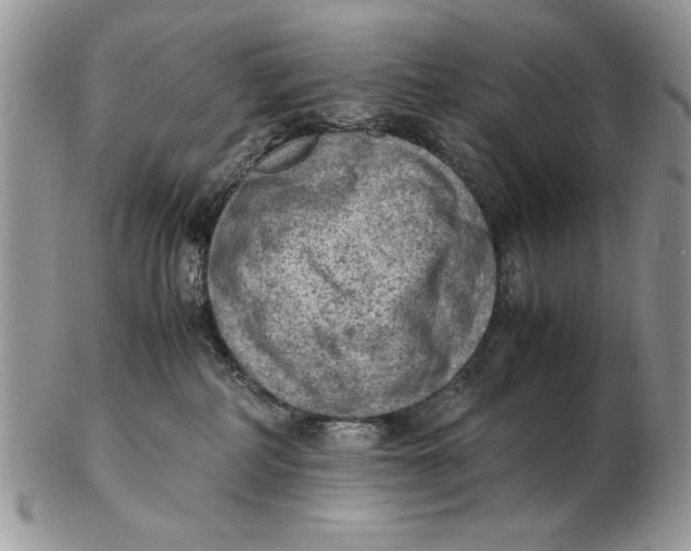 X0000102390234200808221832