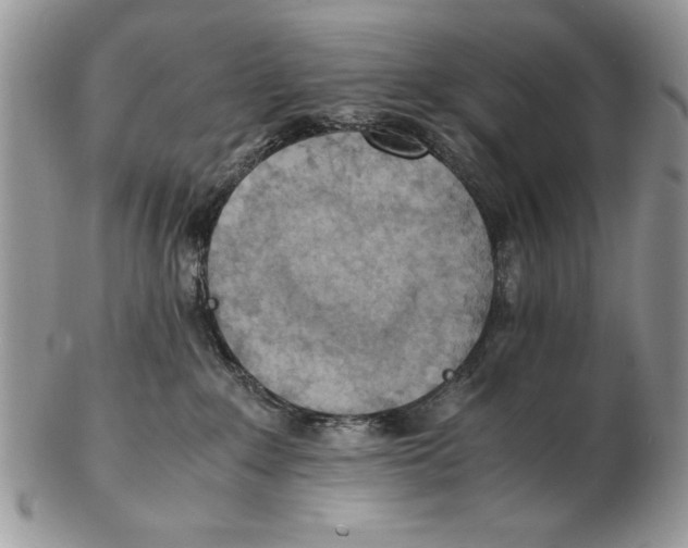 X0000102390235200808221832