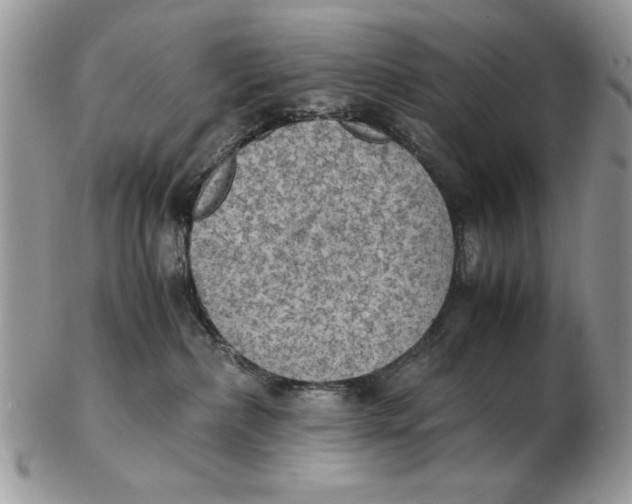 X0000102390236200808221832