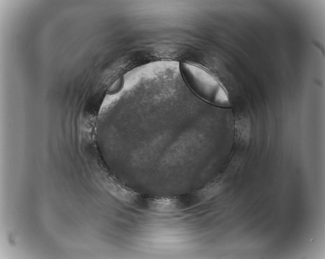 X0000102390237200808221832