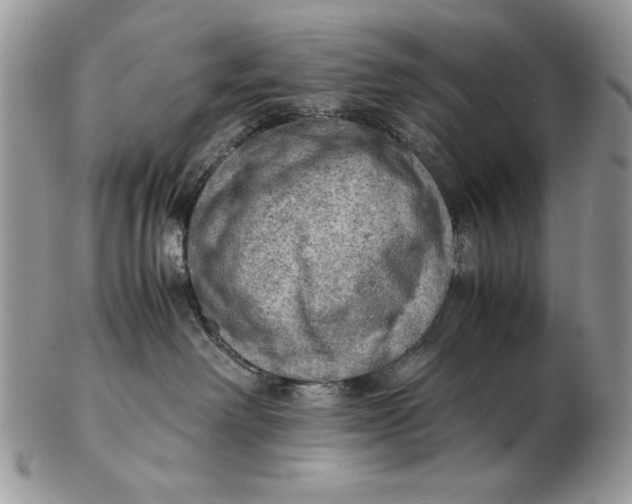 X0000102390238200808221832