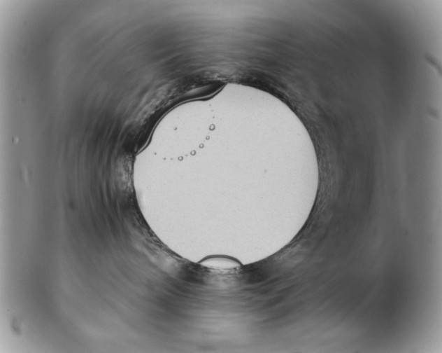X0000102390240200808221832
