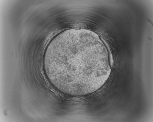 X0000102390241200808221831