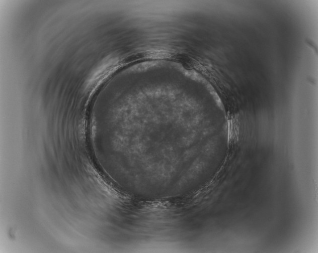 X0000102390243200808221831