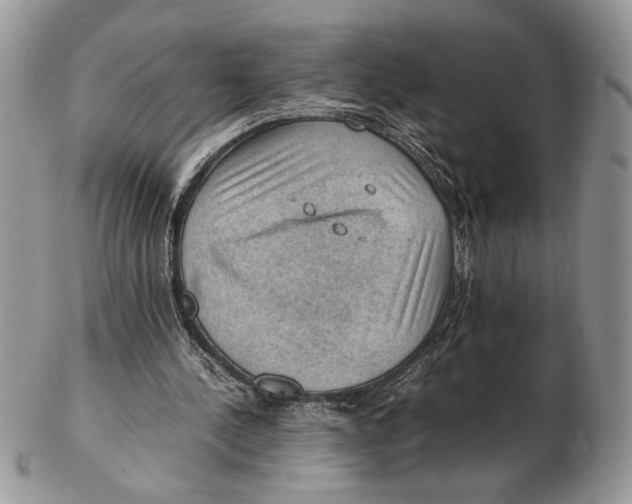 X0000102390244200808221831