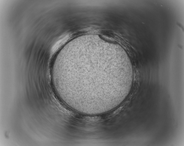 X0000102390245200808221831