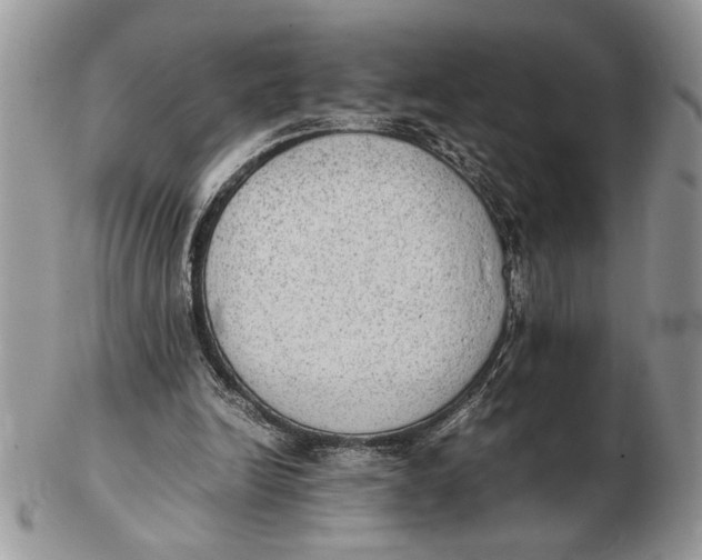 X0000102390246200808221831