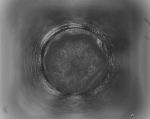 X0000102390247200808221831