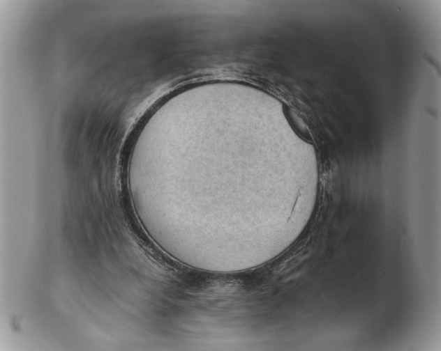 X0000102390248200808221831