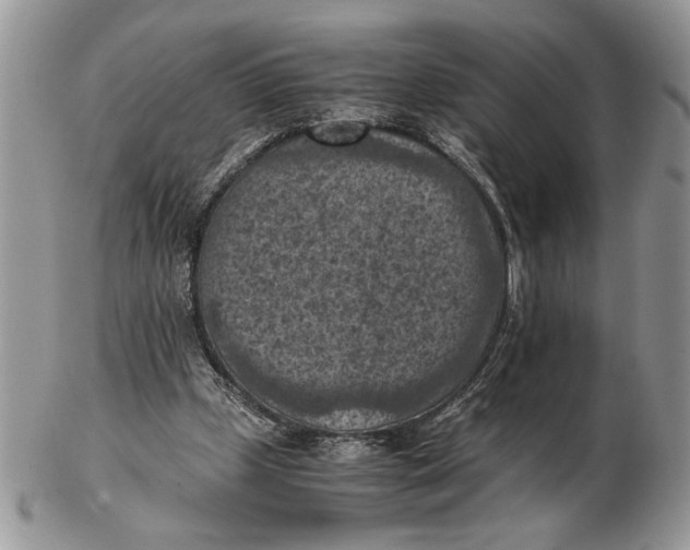 X0000102390249200808221831