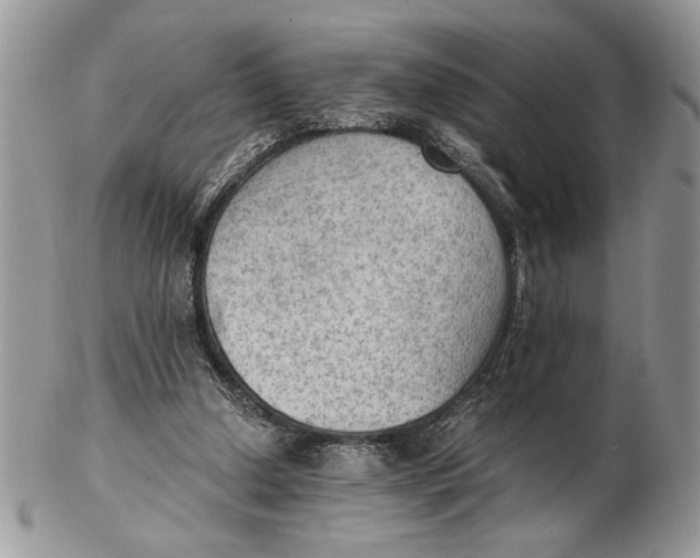 X0000102390250200808221831
