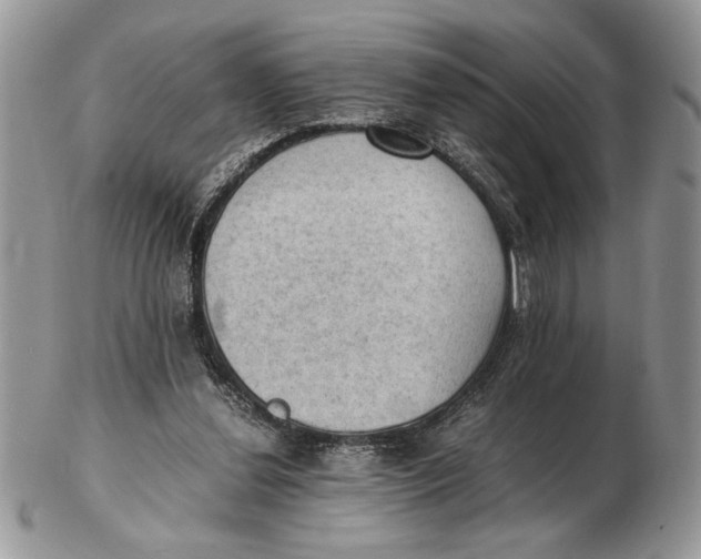 X0000102390252200808221831