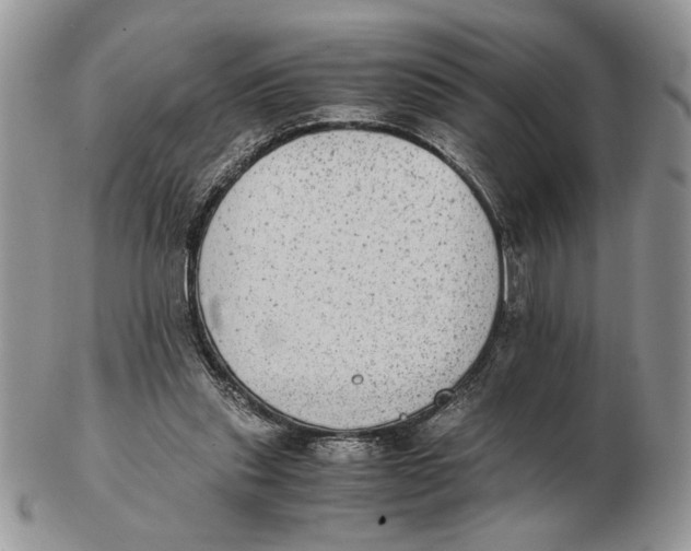 X0000102390253200808221831