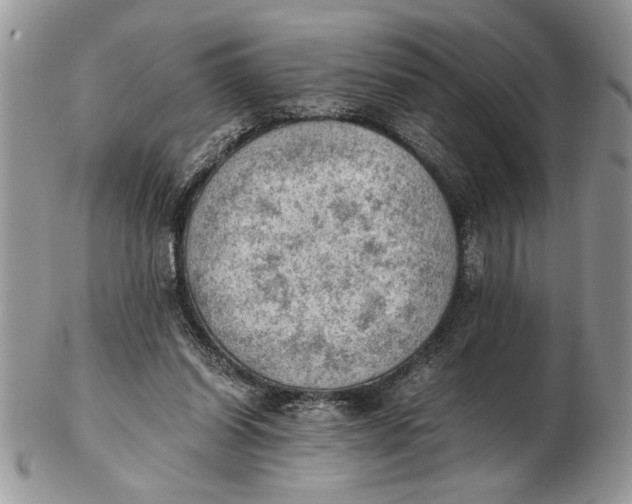 X0000102390254200808221831