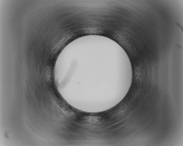 X0000102390255200808221831