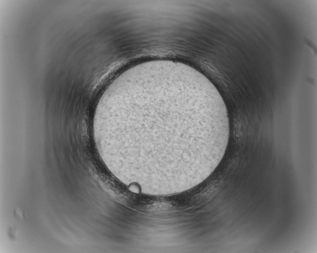 X0000102390256200808221831